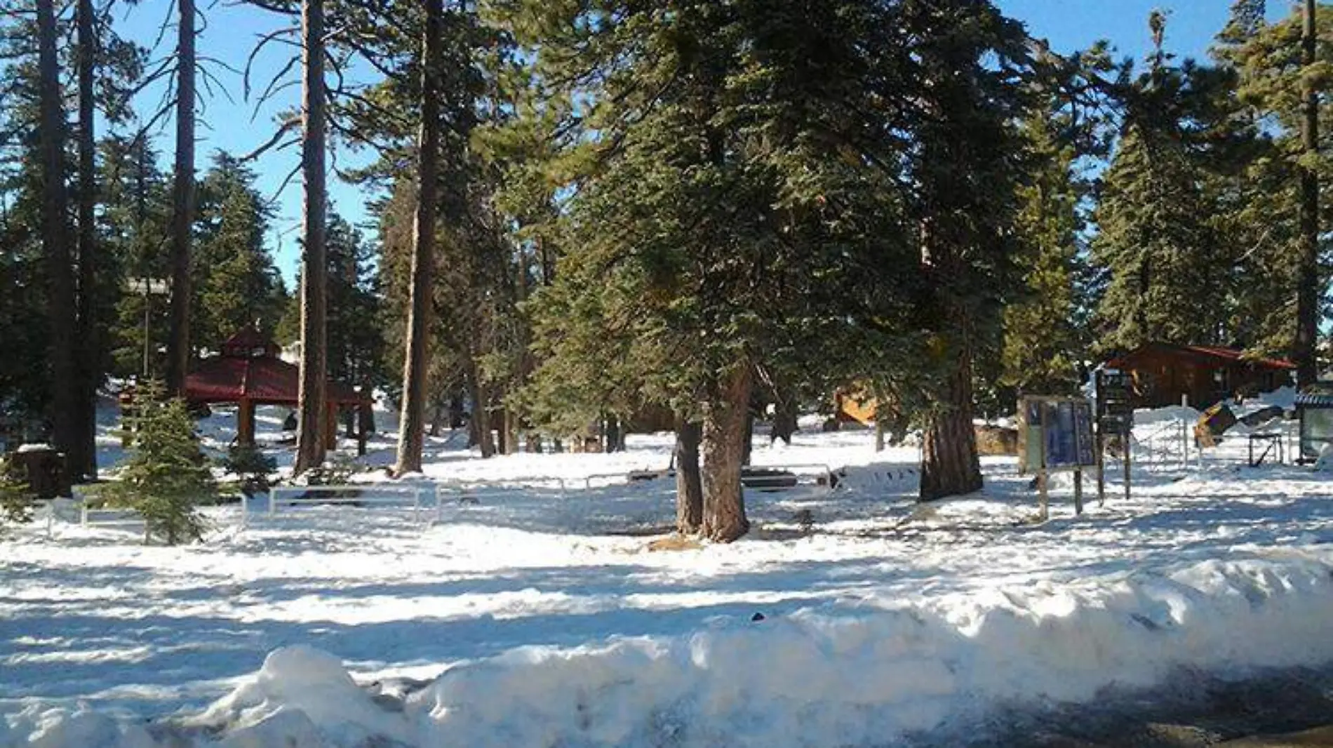 PARQUE NACIONAL SIERRA DE SAN PEDRO MÁRTIR (6)